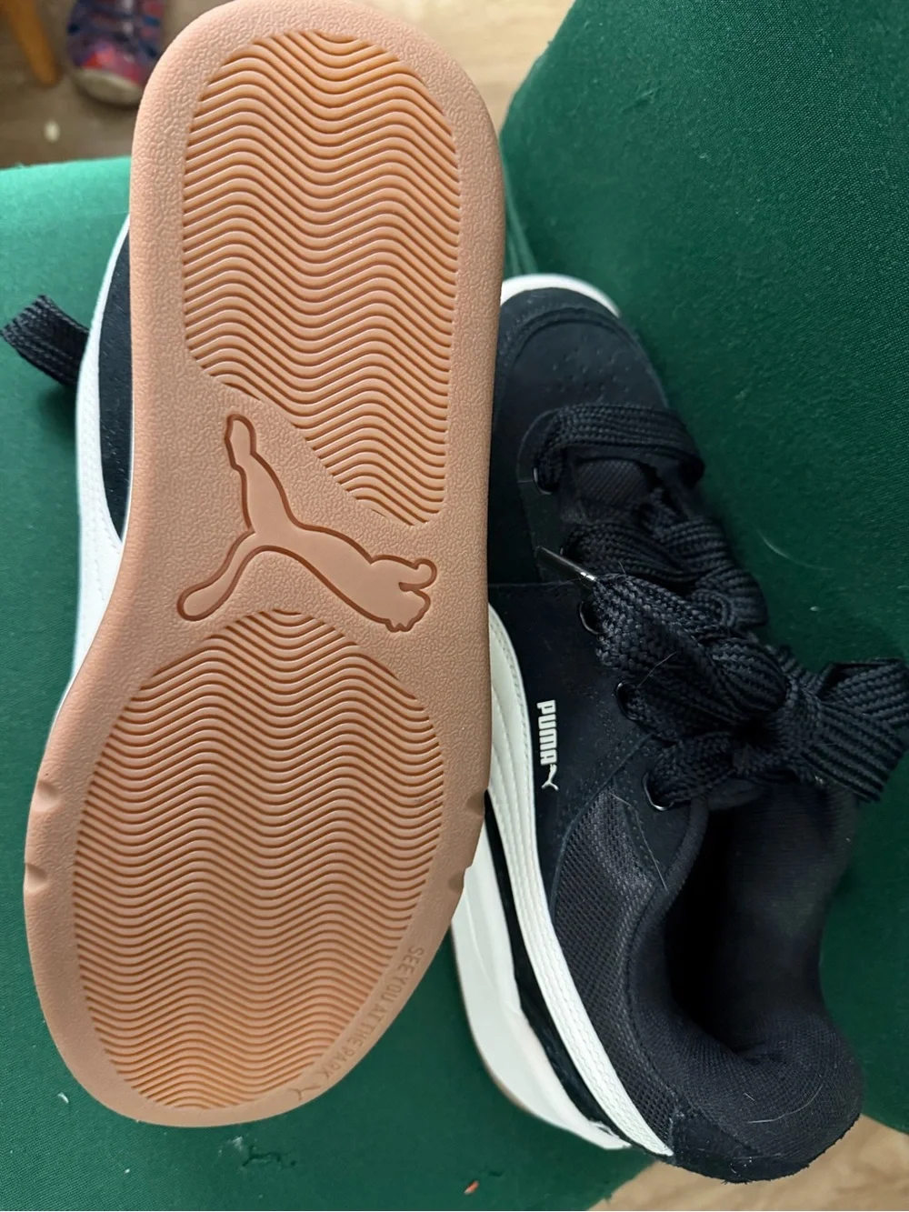 Puma Park Lifestyle SK8 sneakers